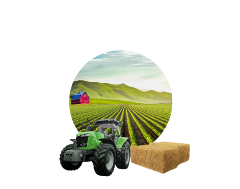 Գյուղատնտեսական ոլորտի աջակցում ԳՖ ծրագրով